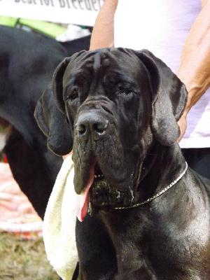 New York-N del Regno di Fantasia