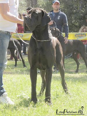 New York-N del Regno di Fantasia