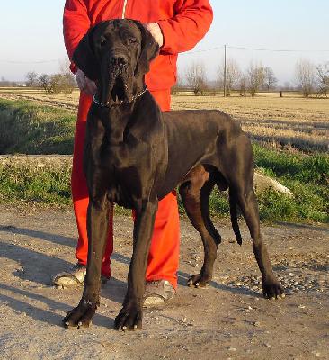 New York-N del Regno di Fantasia