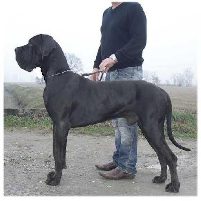 New York-N del Regno di Fantasia