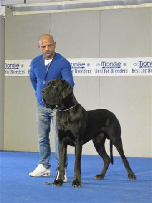 New York-N del Regno di Fantasia