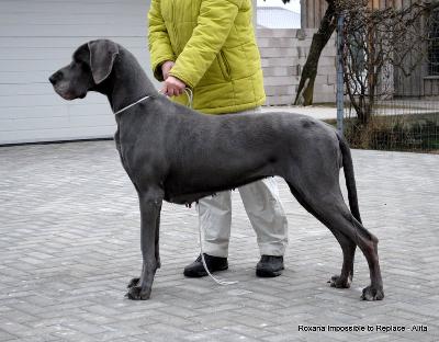 Roxana Impossible to Replace