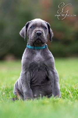 Lenz von der Wolfsh�hle