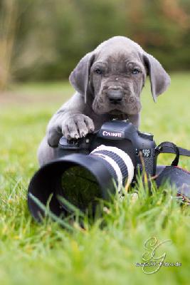 Liron-Joseph von der Wolfsh�hle