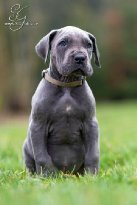 Lalelu von der Wolfsh�hle