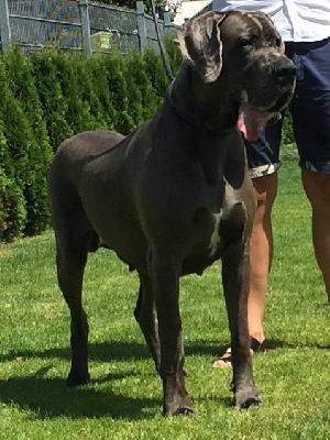 Jade Von Den Elf Quellen