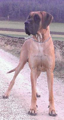 Reno von der Ofneth�hle