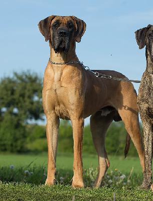 Reno von der Ofneth�hle