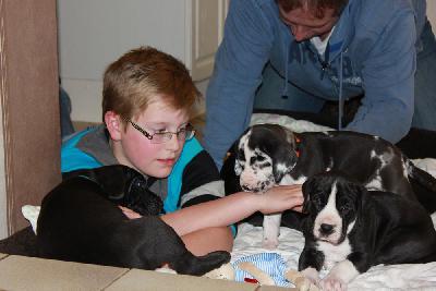 Xantos-Dios vom Hause Rawert