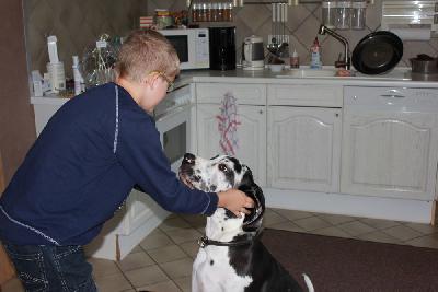 Xandro-Balou vom Hause Rawert