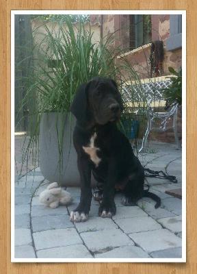 Rosamunde Von Schlesien