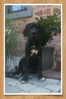 Ramira Von Schlesien