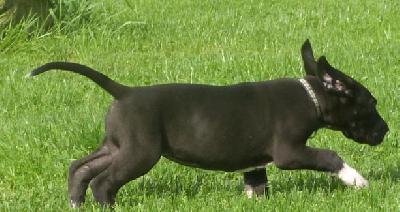 Martha von der Wolfsh�hle