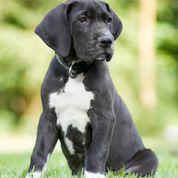 Martha von der Wolfsh�hle