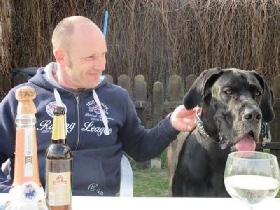 Cerberus Vom Mephisto