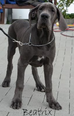 Beatrix vom Ysenburger Bergland