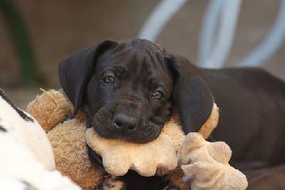 My sweet Daughter Vom Waldfrieden