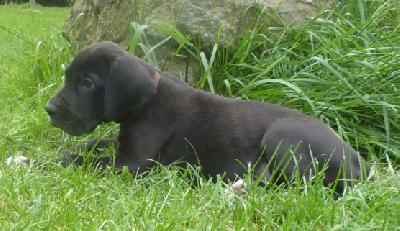 Nugat von der Wolfsh�hle