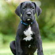 Nullinger von der Wolfsh�hle