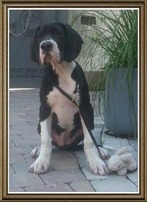 Tamara Von Schlesien