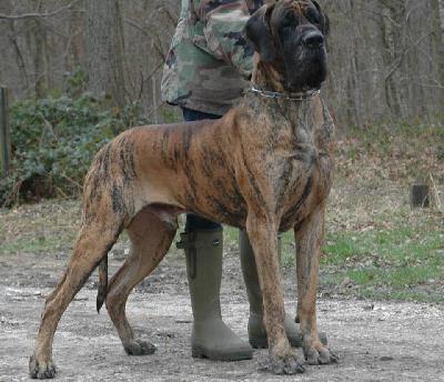 Ch Gabor du Domaine des Hautes Plaines