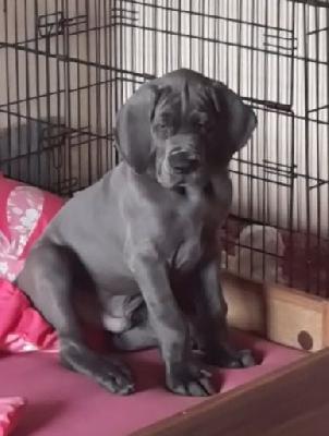 Elias Vom Wernerseck