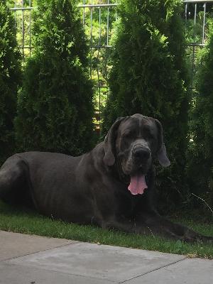 Elias Vom Wernerseck