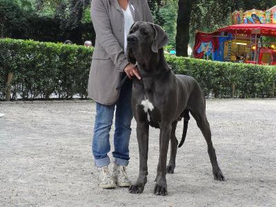 Ch Kasimir Von Den Elf Quellen