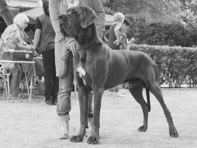 Ch Kasimir Von Den Elf Quellen