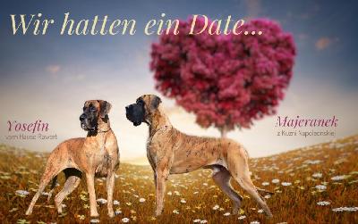 Yosefin vom Hause Rawert