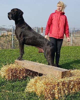 Ch Lanzelot Von Den Elf Quellen