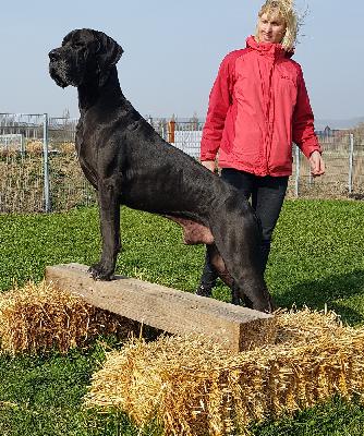 Ch Lanzelot Von Den Elf Quellen