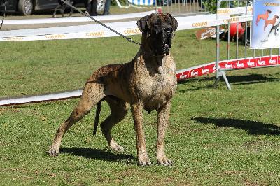 Gilmour du Domaine des Hautes Plaines