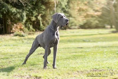 Hokuspokus von der Wolfshöhle