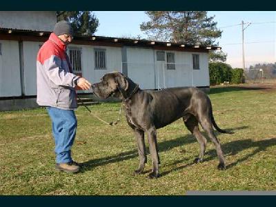 Un Gitano della Baia Azzurra