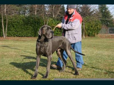Un Gitano della Baia Azzurra