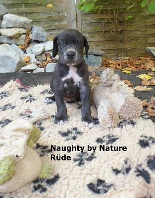 Naughty by Nature Vom Waldfrieden