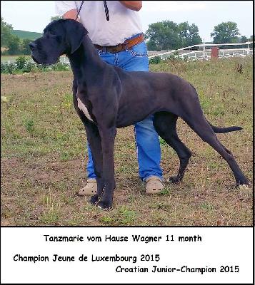 Ch Tanzmarie Vom Hause Wagner