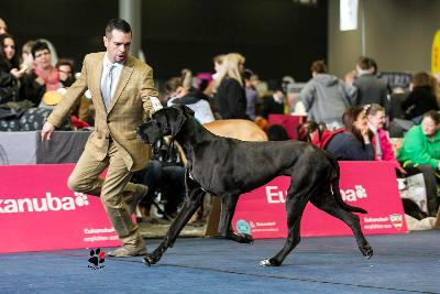 Ch Tanzmarie Vom Hause Wagner