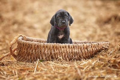 Avinija aus dem Hause Fandoro
