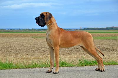 Ch Quintana von der Ofnethhle