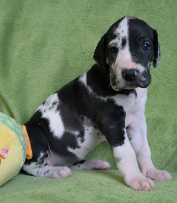 Charlotte vom Ysenburger Bergland