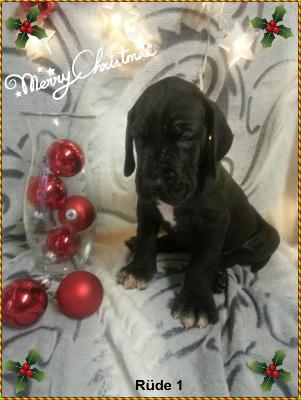 Zero Von Blue Ground