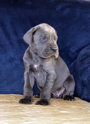 Unfassbar Vom Hause Wagner