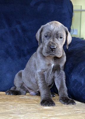 Unfassbar Vom Hause Wagner