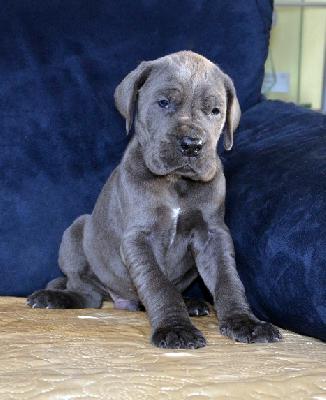 Unfassbar Vom Hause Wagner