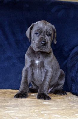 Unfassbar Vom Hause Wagner