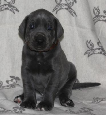 Best Impression von Alt-Sternberg