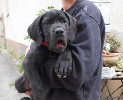 One in a Million Vom Waldfrieden