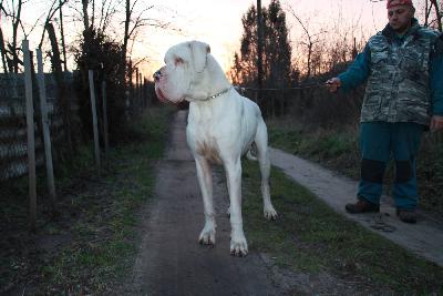 Shaquille O�Neil from Valvasor�s Land